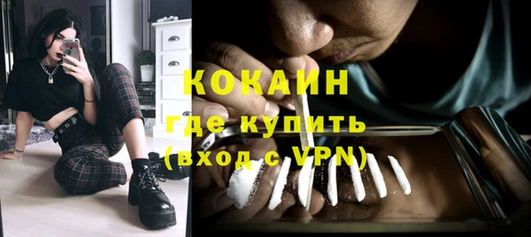 шишки Арсеньев