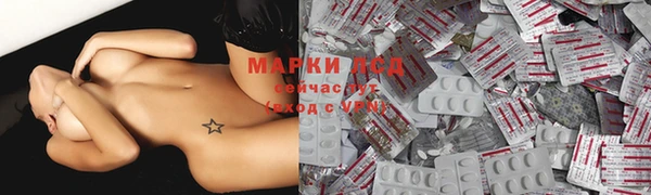 спайс Аркадак
