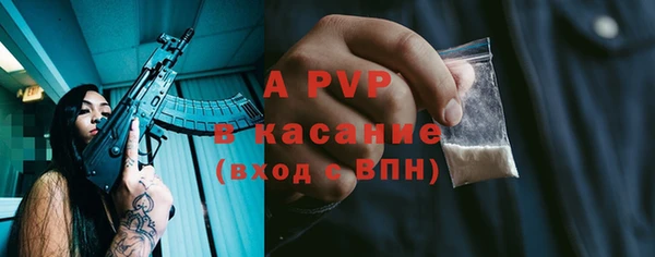 индика Рославль