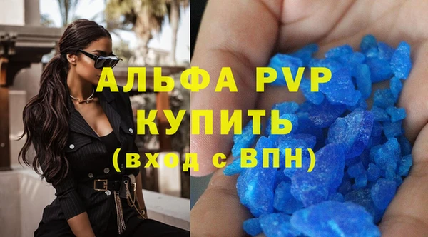 шишки Арсеньев