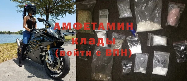 шишки Арсеньев