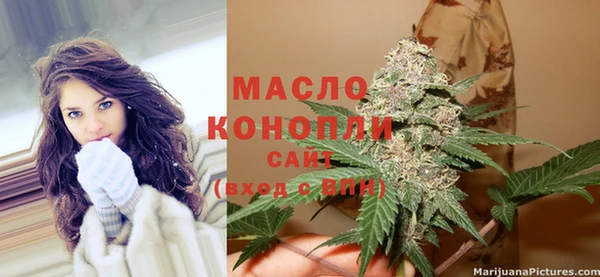 шишки Арсеньев