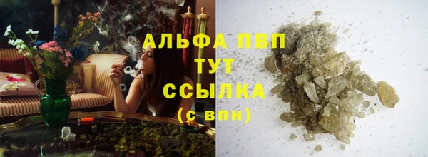 шишки Арсеньев