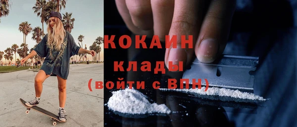 шишки Арсеньев